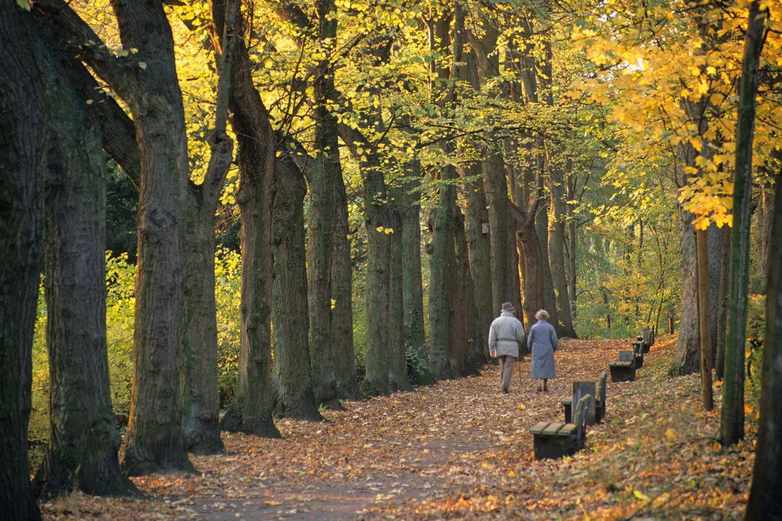Older couple walk through the woods