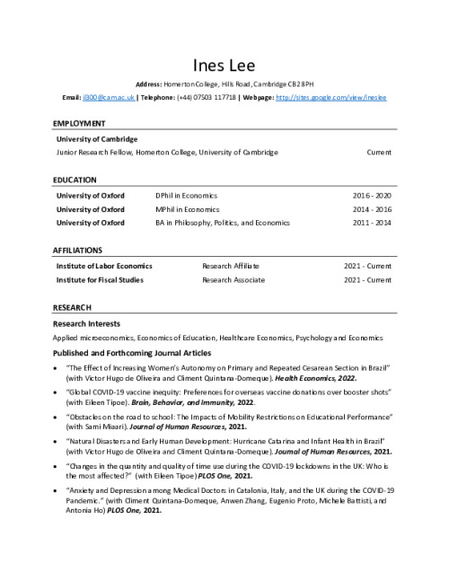 Image representing the file: Ines Lee's CV