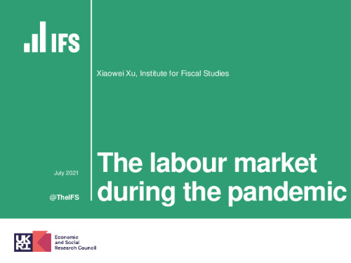 Image representing the file: The labour market during the pandemic (Xiaowei Xu, IFS)