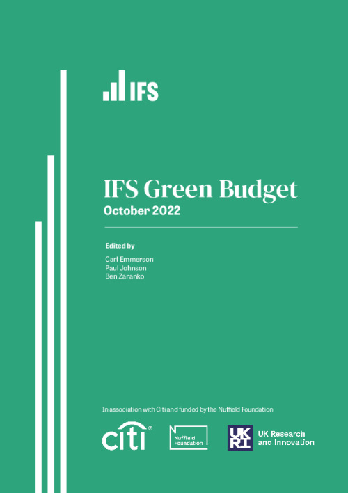 Image representing the file: IFS Green Budget 2022