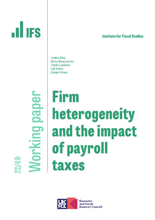 Image representing the file: WP202249-Firm-heterogeneity-and-the-impact-of-payroll-taxes.pdf