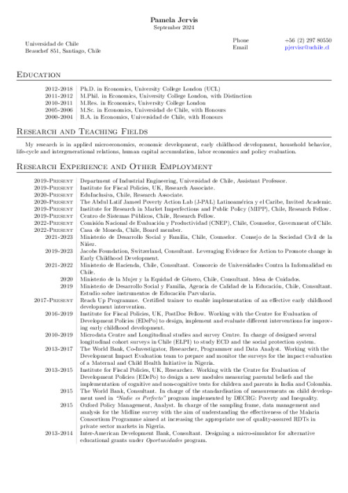 Image representing the file: Pamela Jervis's CV