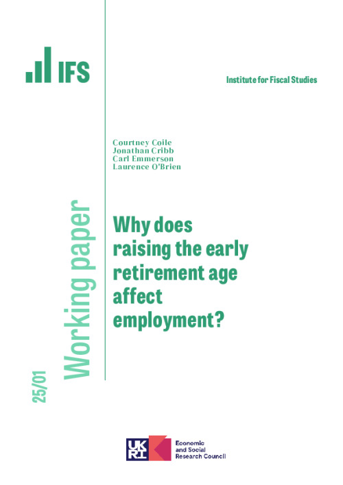 Image representing the file: Download working paper here
