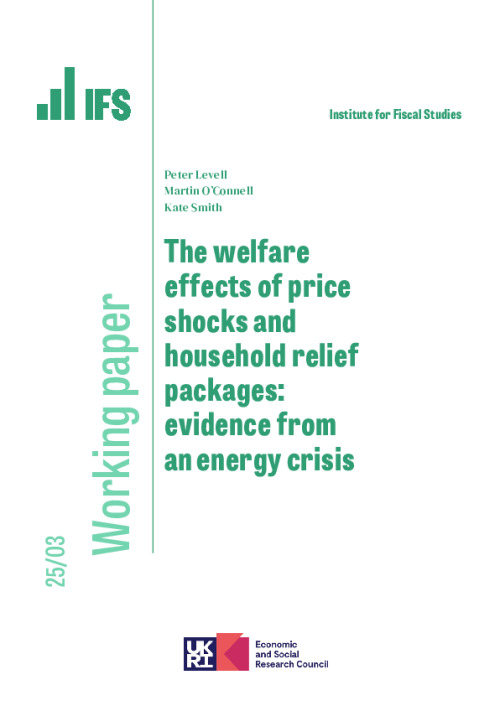 Image representing the file: Download working paper here