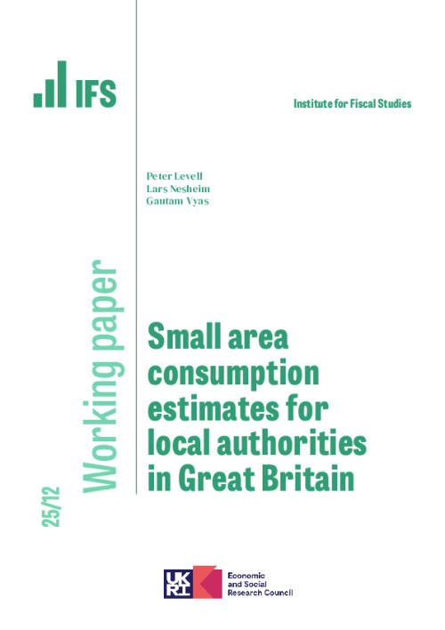 Image representing the file: Download working paper here