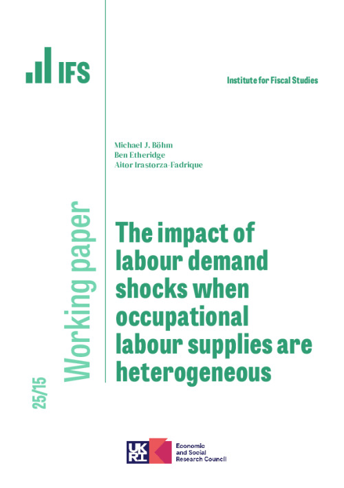 Image representing the file: Download working paper here