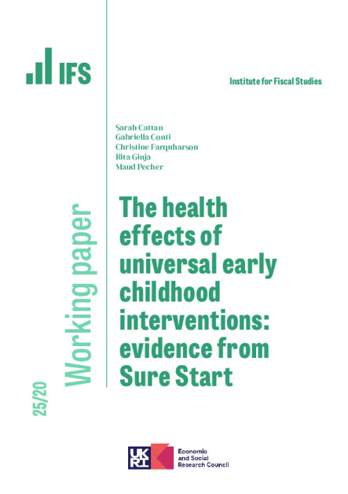 Image representing the file: Download working paper here