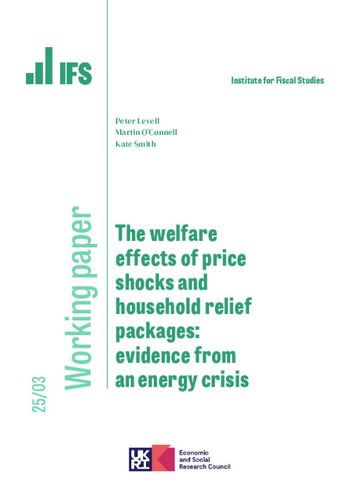 Image representing the file: Download working paper here