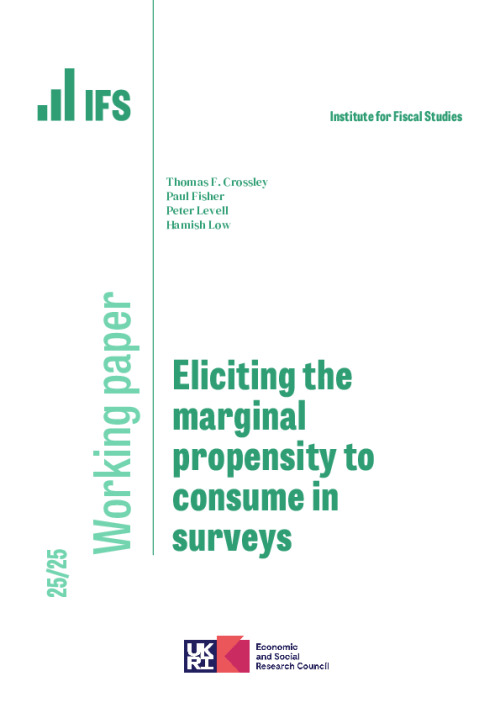 Image representing the file: Download working paper here