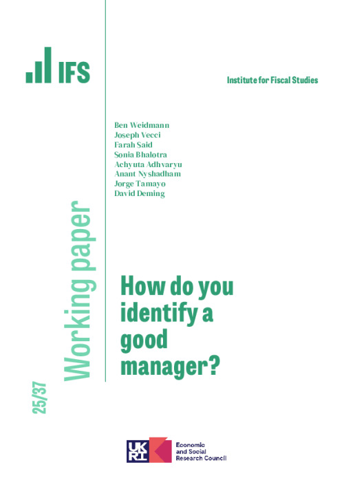 Image representing the file: Download working paper here