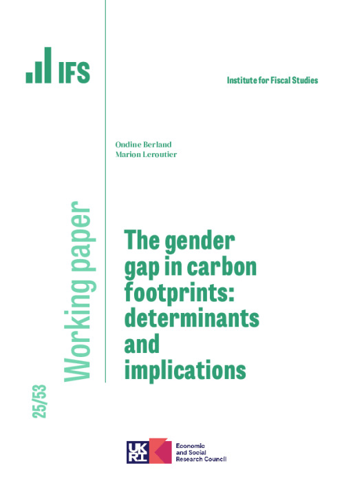 Image representing the file: Download working paper here