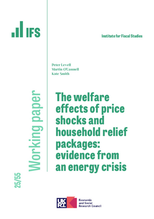 Image representing the file: Download working paper here