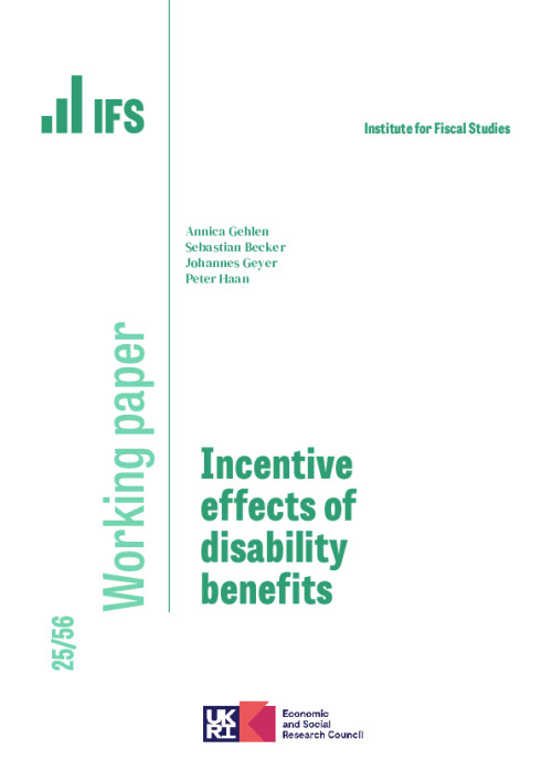 Image representing the file: Download working paper here