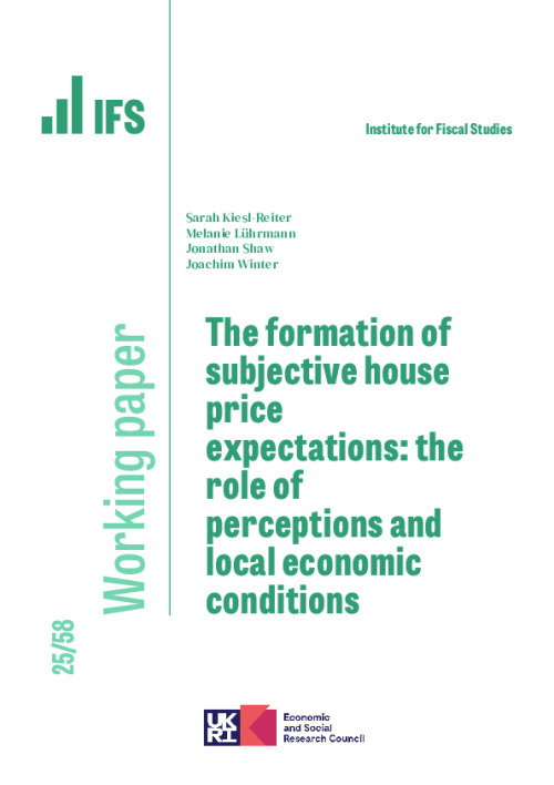 Image representing the file: Download working paper here
