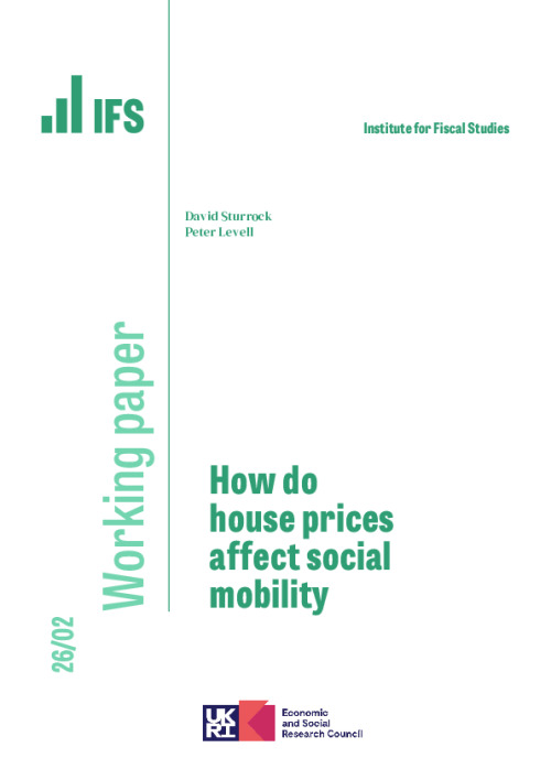 Image representing the file: Download working paper here