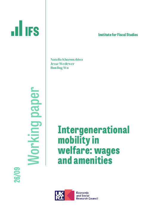 Image representing the file: Download working paper here