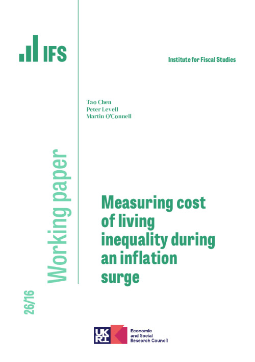 Image representing the file: Download working paper here