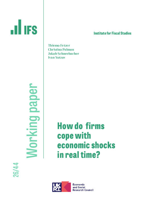 Image representing the file: Download working paper here
