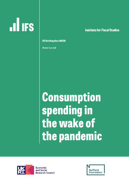 Image representing the file: Consumption spending in the wake of the pandemic