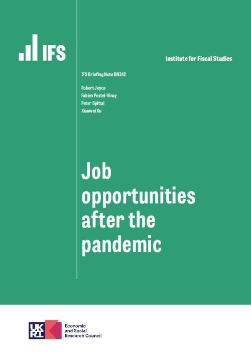 Image representing the file: Job opportunities after the pandemic