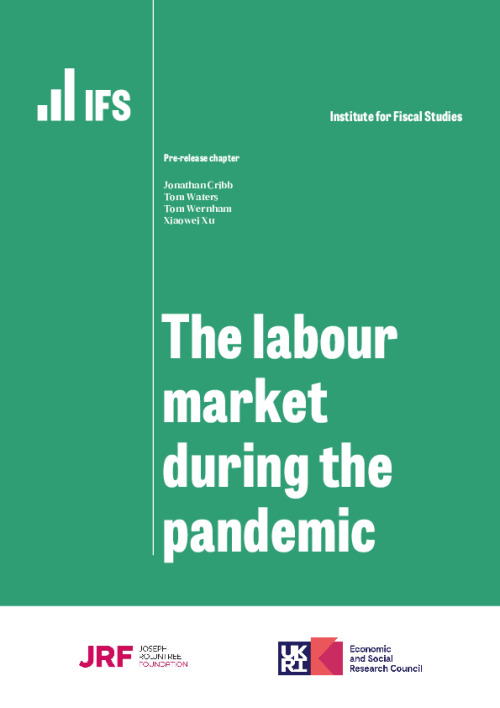 Image representing the file: Labour-market-during-the-pandemic-1.pdf