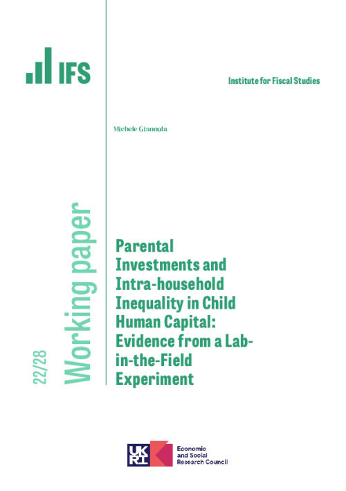 Image representing the file: Parental Investments and Intra-household Inequality in Child Human Capital: Evidence from a Lab-in-the-Field Experiment