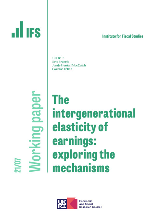 Image representing the file: WP202107-The-intergenerational-elasticity-of-earnings-exploring-the-mechanisms.pdf