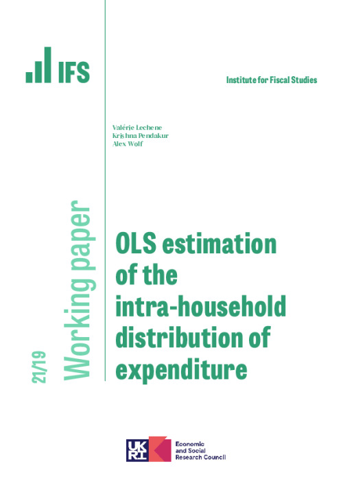 Image representing the file: WP202119-OLS-estimation-of-the-intra-household-distribution-of-expenditure.pdf