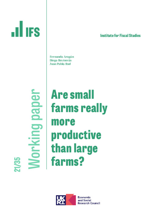 Image representing the file: WP202135-Are-small-farms-really-more-productive-than-large-farms.pdf