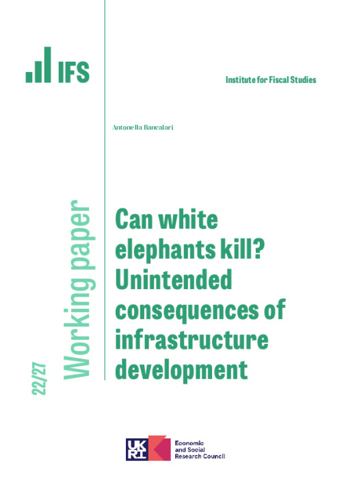 Image representing the file: WP202227-Can-white-elephants-kill-unintended-consequences-of-infrastructure-development.pdf
