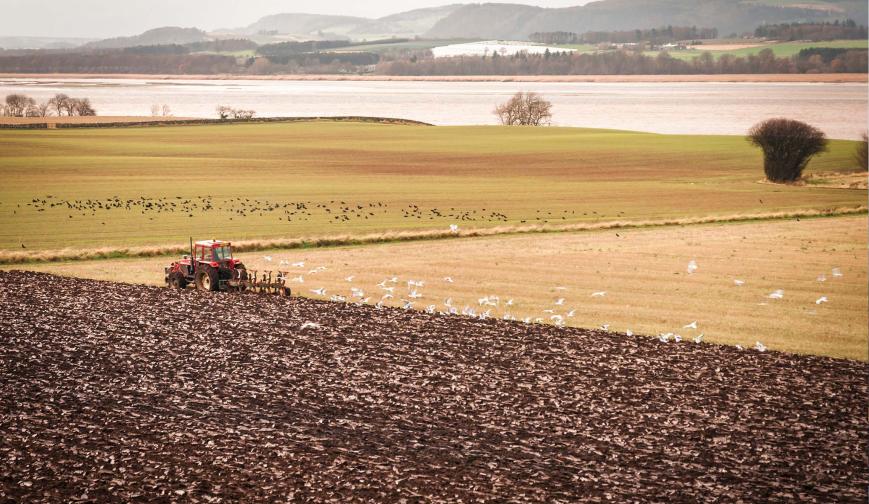 Farm in Scotland