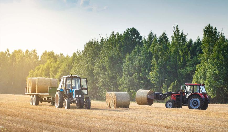 Farmers