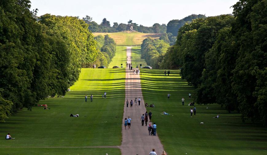 Windsor Great Park