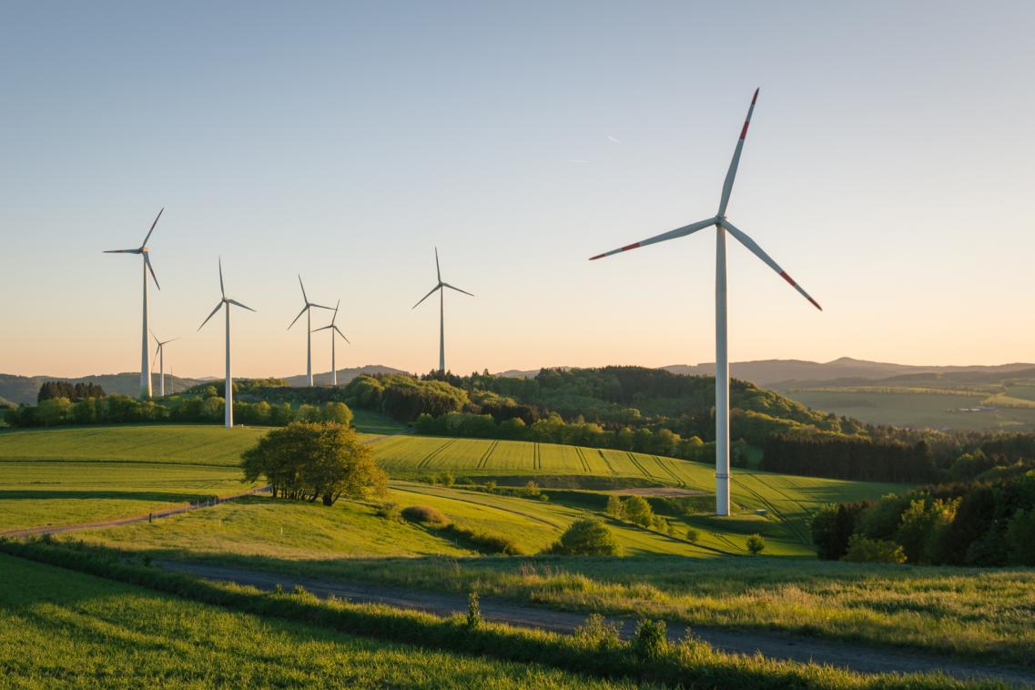 An image of wind turbines