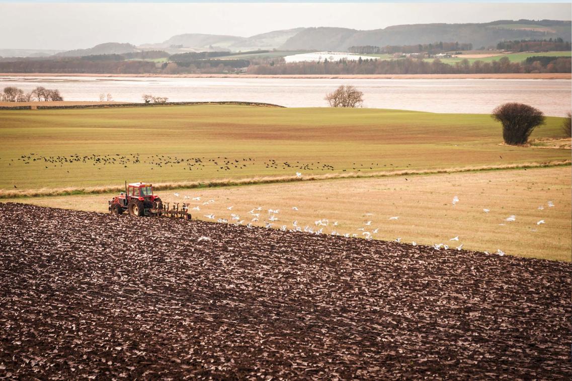 Farm in Scotland