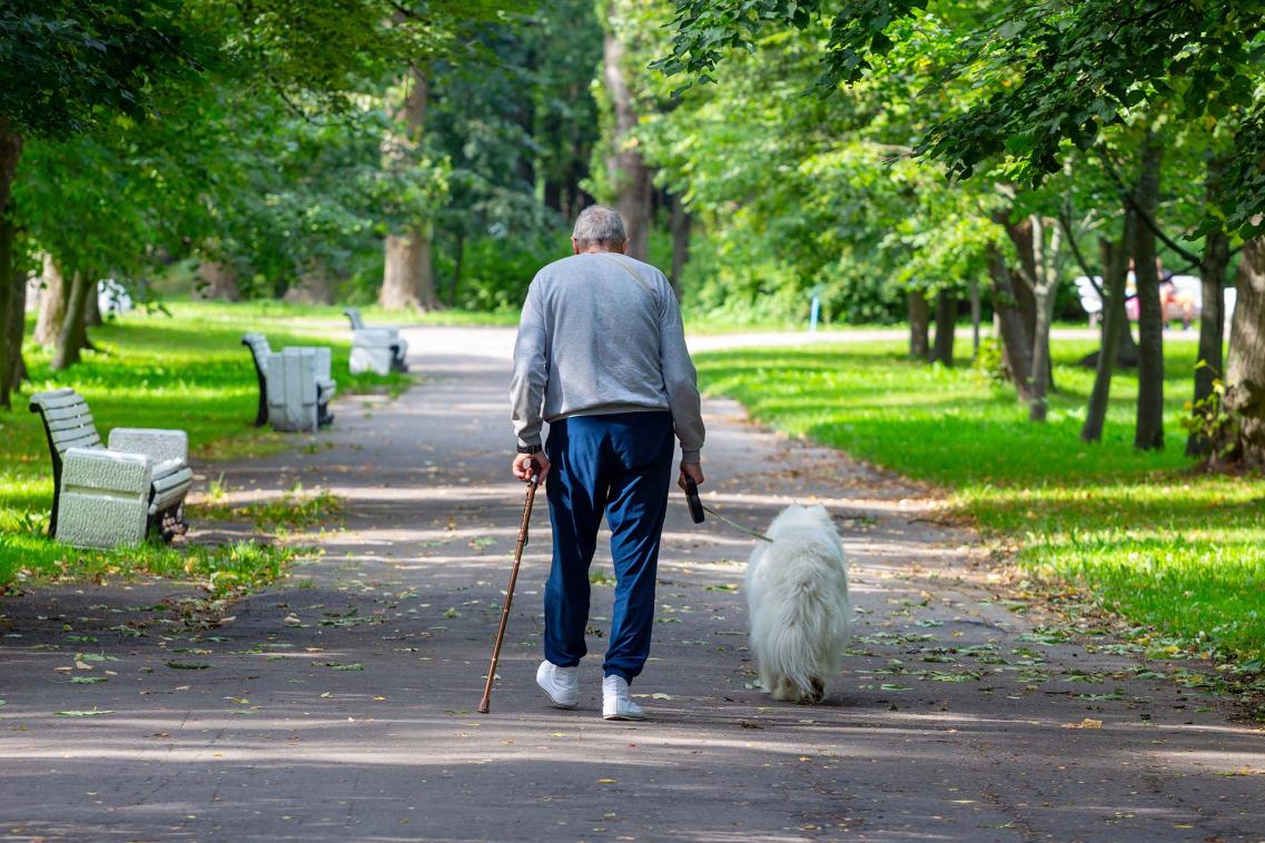 Older people walking