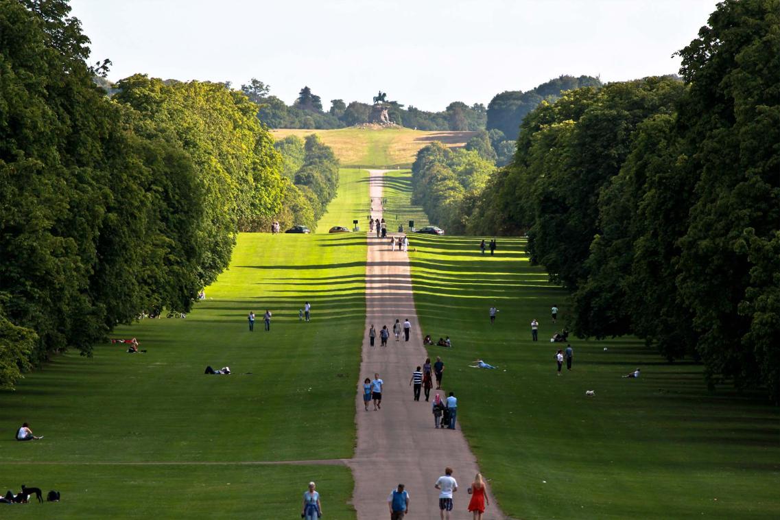 Windsor Great Park
