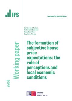 Working paper cover