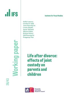 Working paper cover