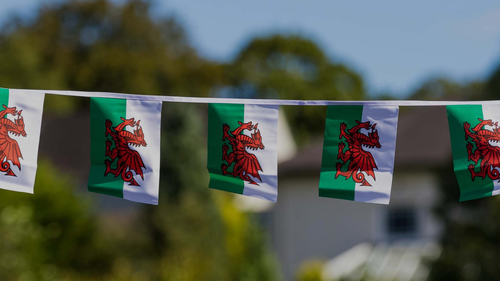 Welsh flags
