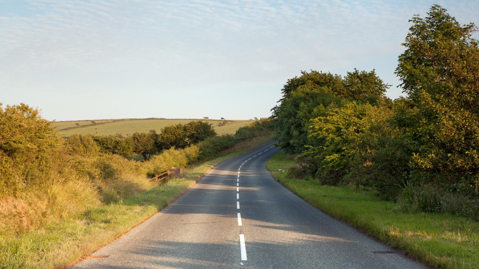 An image of a sunny country road