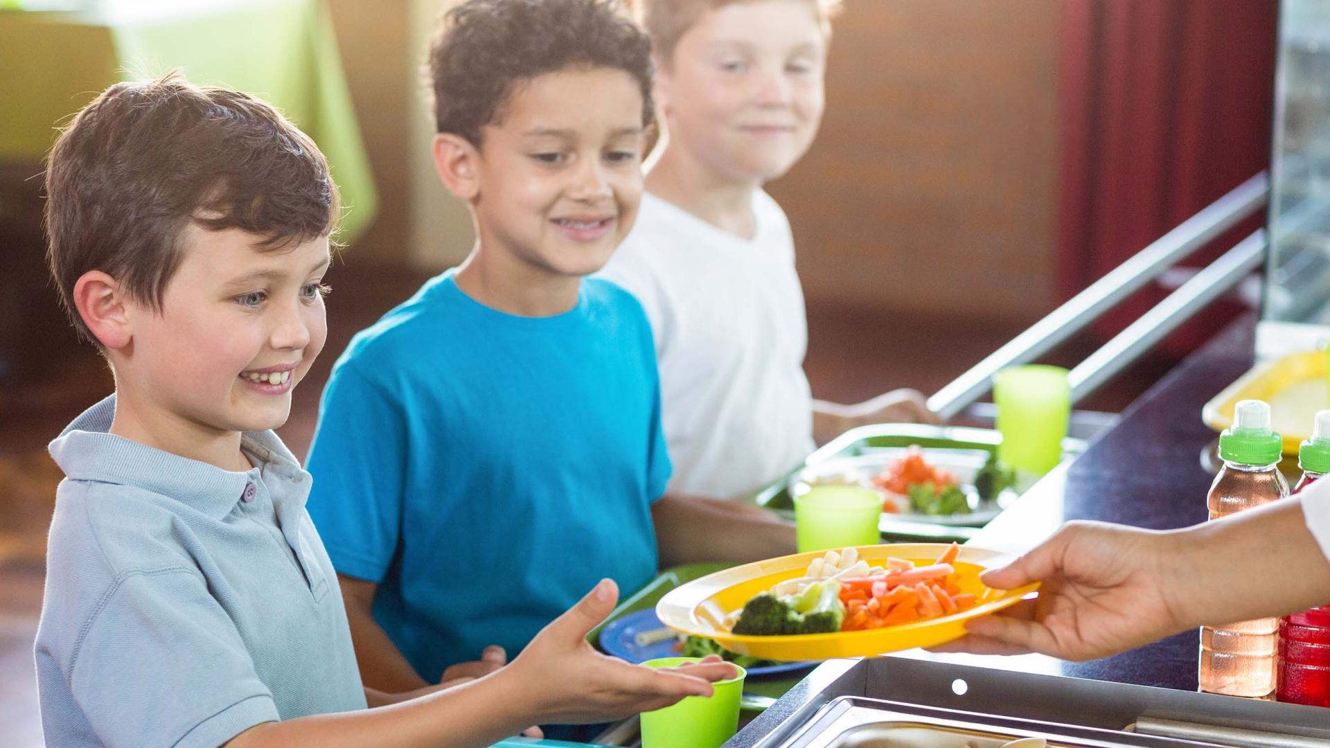 The policy menu for school lunches: options and trade-offs in