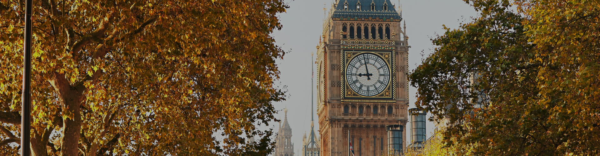 Big Ben with trees in autumn