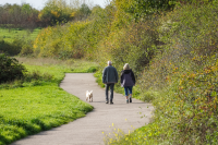 Pensioners Walking