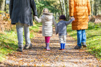 Two-child limit