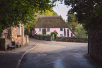 Pensions feature
