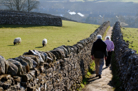 Automatic enrolment: trends in employer pension contributions and the impact of potential reforms
