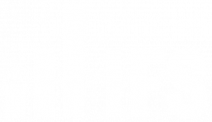 IFS logo in white