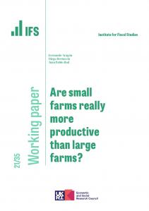 IFS WP2021/35 Are small farms really more productive than large farms?