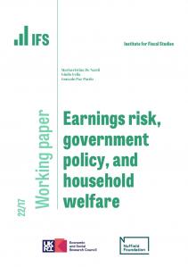 Earnings risk, government policy, and household welfare